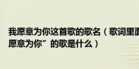 我愿意為你這首歌的歌名(歌詞里面有一句“我愿意為你我愿意為你”的歌是什么)