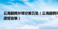 云海翻騰孫悟空第五集(云海翻騰孫悟空第幾集是孫悟空打通臂猿猴)
