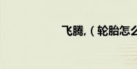 飛騰,(輪胎怎么樣)