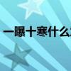 一曝十寒什么意思簡短（一曝十寒什么意思）