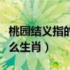 桃園結義指的是什么生肖（桃園結義指的是什么生肖）