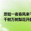 忽如一夜春風來千樹萬樹梨花開的意思是（忽如一夜春風來千樹萬樹梨花開的意思是什么）