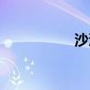 沙漠戀人（沙漠戀人）