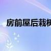 房前屋后栽樹的忌諱（房前屋后栽啥樹好）