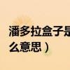 潘多拉盒子是什么意思（＂潘多拉盒子＂是什么意思）