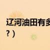 遼河油田有多少員工（遼河油田待遇福利咋樣?）