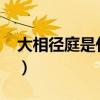 大相徑庭是什么意思（大相徑庭是什么意思?）