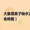 大象用鼻子吸水為什么不會嗆著（大象用鼻子吸水為什么不會嗆著）