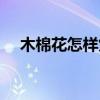 木棉花怎樣煲湯才祛濕（木棉花怎吃法）
