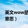 英文wow是什么意思啊（英文WOW是什么意思）