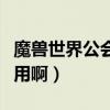 魔獸世界公會有什么用（魔獸世界公會有什么用啊）