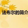 法布爾的簡介100字（法布爾的簡介100字）