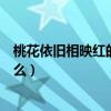 桃花依舊相映紅的下一句（桃花依舊的前一句和后一句是什么）