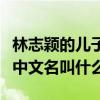 林志穎的兒子中文名字叫什么（林志穎的兒子中文名叫什么）
