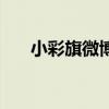小彩旗微博名字（小彩旗微博叫什么）