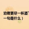 勸君更盡一杯酒下一句是什么百度一下（勸君更盡一杯酒下一句是什么）