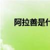 阿拉善是什么玉（阿拉善是什么意思）
