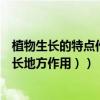 植物生長的特點作文仙人掌（仙人掌作文（樣子生活習性生長地方作用））