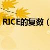 RICE的復數（rice的復數形式為什么是rice）