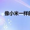 像小米一樣的白色米（小米3有白色的嗎）