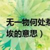 無一物何處惹塵埃什么意思（無一物何處惹塵埃的意思）
