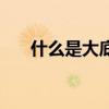 什么是大底盤拖拉機（什么是大頭貼）