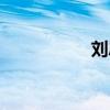 劉思成電影（劉思成）