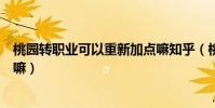 桃園轉職業可以重新加點嘛知乎(桃園轉職業可以重新加點嘛)