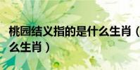 桃園結義指的是什么生肖(桃園結義指的是什么生肖)
