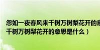 忽如一夜春風來千樹萬樹梨花開的意思是(忽如一夜春風來千樹萬樹梨花開的意思是什么)