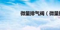 微量排氣閥(微量排氣閥)