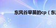 東風谷早苗的cp(東風谷早苗)