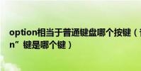 option相當于普通鍵盤哪個按鍵(普通電腦鍵盤的“option”鍵是哪個鍵)
