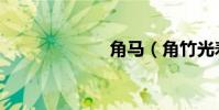 角馬(角竹光壽)