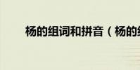 楊的組詞和拼音(楊的組詞有哪些)