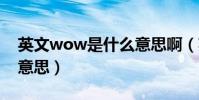 英文wow是什么意思啊(英文WOW是什么意思)