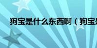 狗寶是什么東西啊(狗寶是什么東西啊)