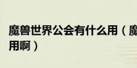 魔獸世界公會有什么用(魔獸世界公會有什么用啊)