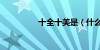 十全十美是(什么數字)
