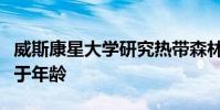 威斯康星大學研究熱帶森林對干旱的反應取決于年齡