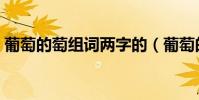 葡萄的萄組詞兩字的(葡萄的萄組詞有哪些)