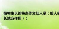 植物生長的特點作文仙人掌(仙人掌作文(樣子生活習性生長地方作用))
