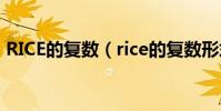RICE的復數(rice的復數形式為什么是rice)