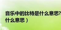 音樂中的比特是什么意思?(歌曲的比特率是什么意思)
