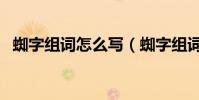 蜘字組詞怎么寫(蜘字組詞蜘字怎么組詞)