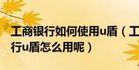 工商銀行如何使用u盾(工商銀行個人網上銀行u盾怎么用呢)