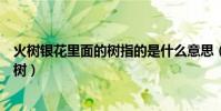 火樹銀花里面的樹指的是什么意思(火樹銀花一般指的什么樹)