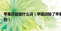 蘋果還能組什么詞(蘋組詞除了蘋果還能組什么詞是兩個字的)