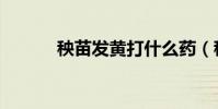 秧苗發黃打什么藥(秧苗仙路)
