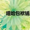 嘻哈包袱鋪成員介紹（嘻哈包袱鋪成員）